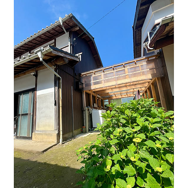 cotaさんの部屋