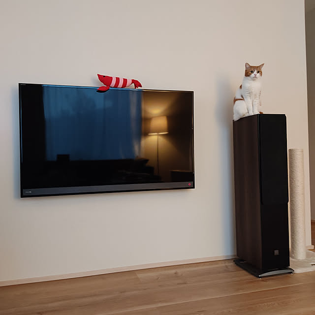 Coney_Island_NYさんの実例写真