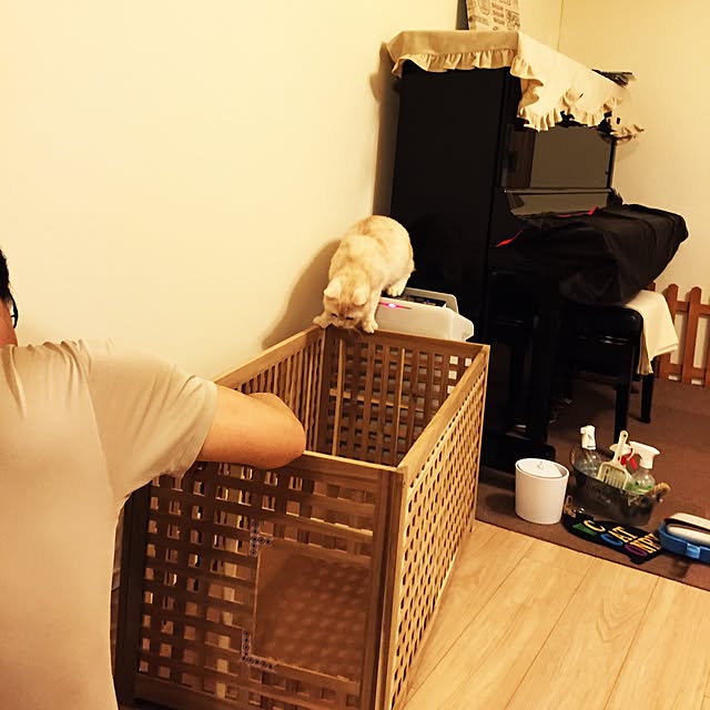 y.k.0123さんの実例写真