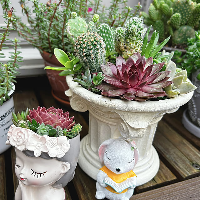 portulacaさんの実例写真