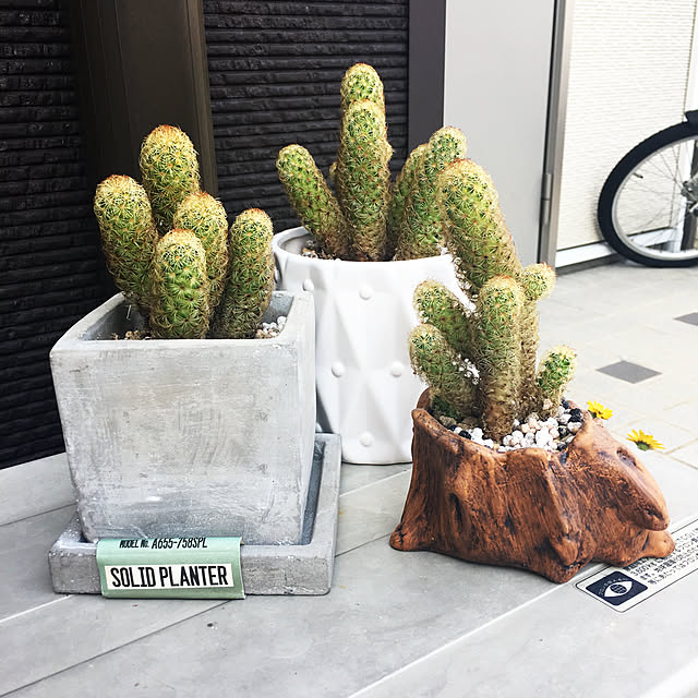 yuminnieさんの実例写真