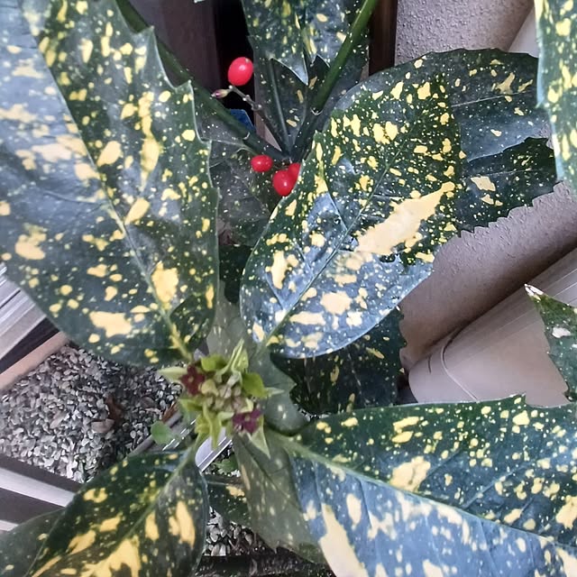 hiro.904さんの実例写真