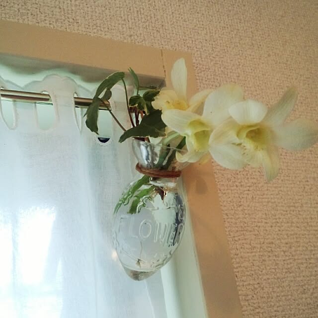 dotlaceさんの実例写真