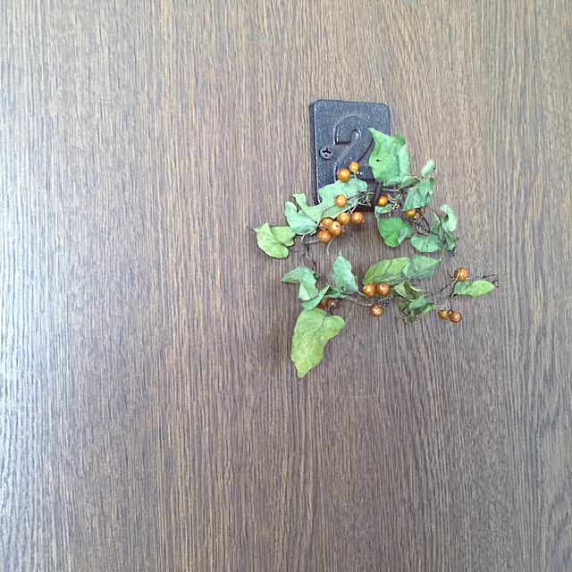 urucotoさんの実例写真