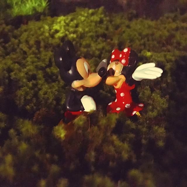 kokepapaさんの実例写真