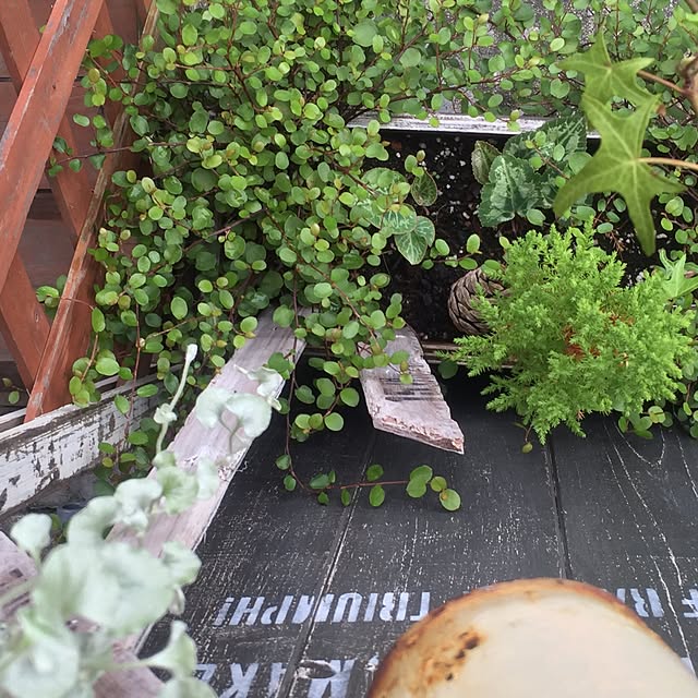 natulove0418さんの実例写真