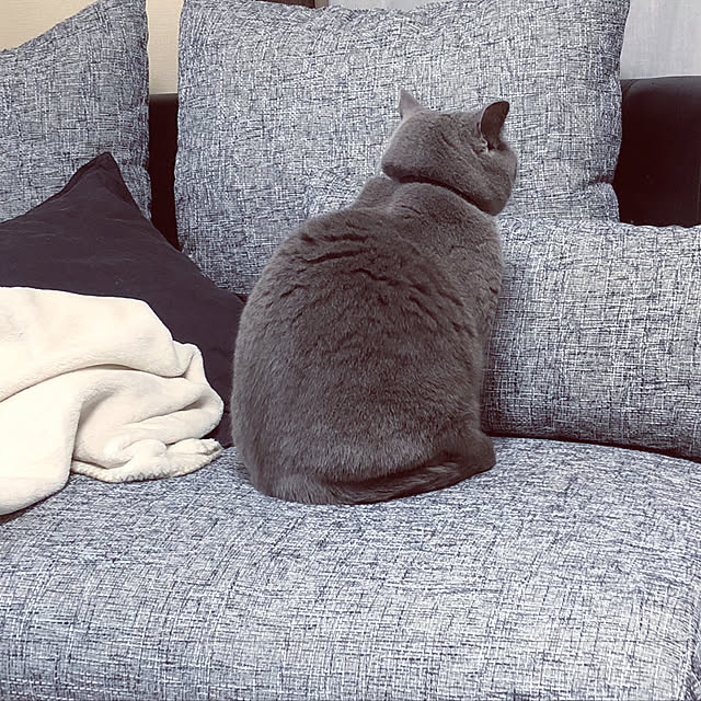 y_uu122さんの実例写真