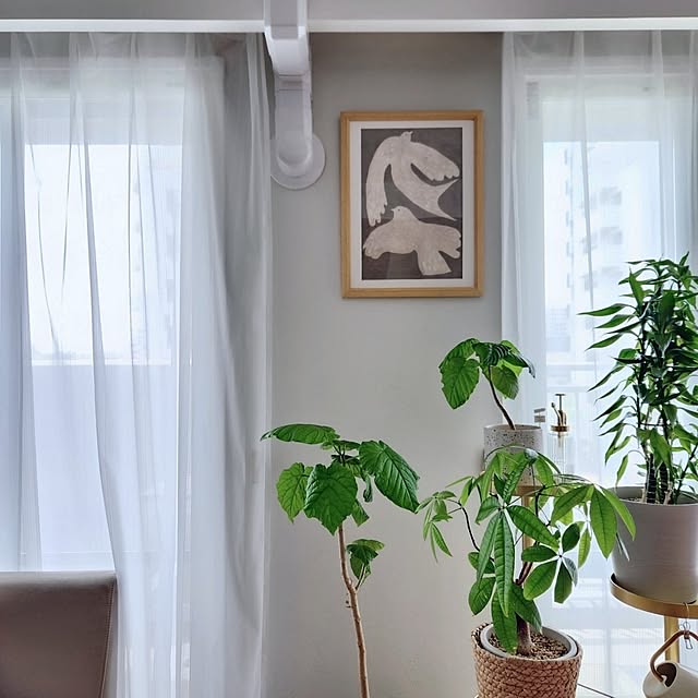 pinonさんの部屋