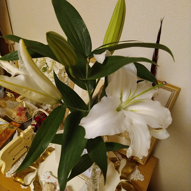 lilyさんの実例写真
