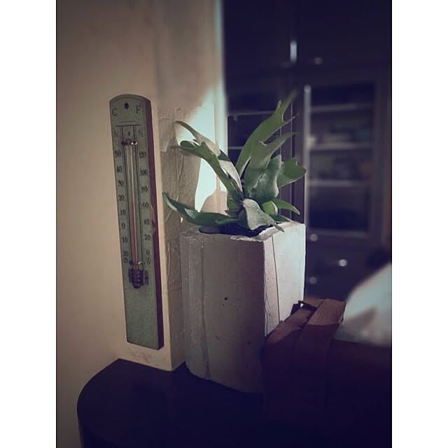 jnkaiさんの実例写真