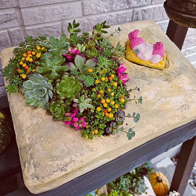 mocomocoさんの部屋