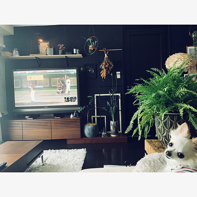 chapiさんの実例写真