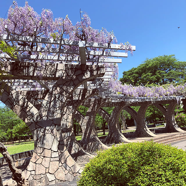 実例写真