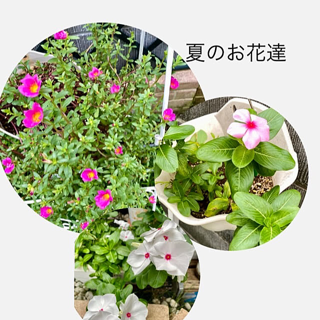 YuuKoさんの部屋