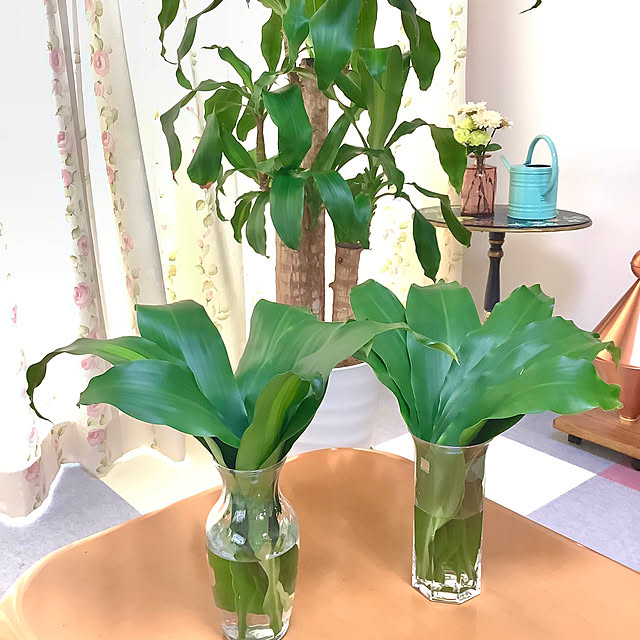 haruminさんの実例写真