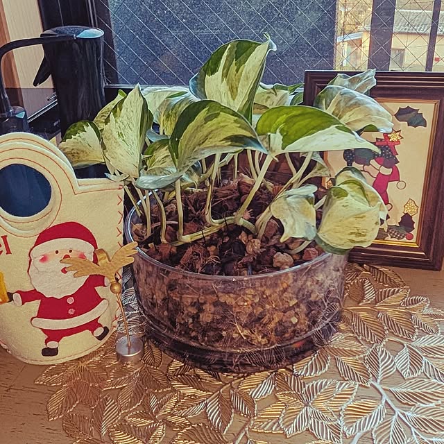 hararanranさんの実例写真