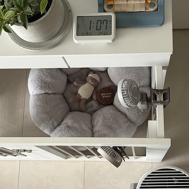 Lime..さんの部屋