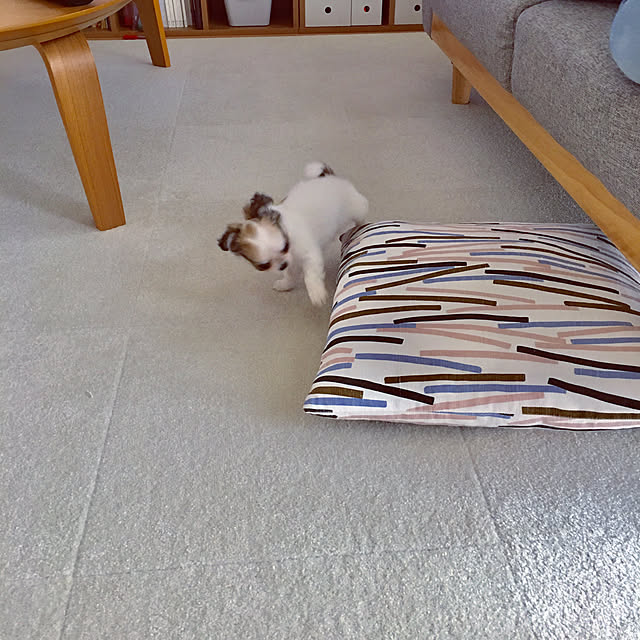 haritakaさんの実例写真