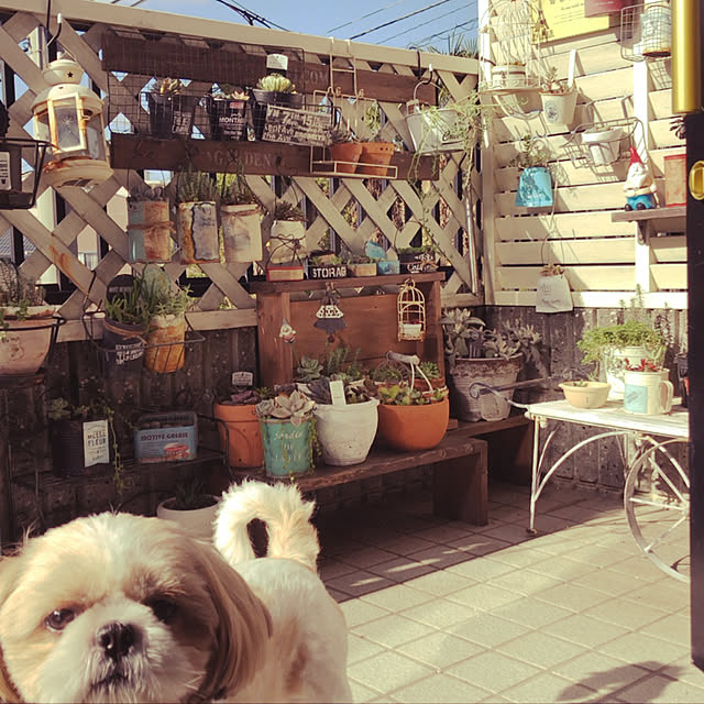 tomoさんの実例写真