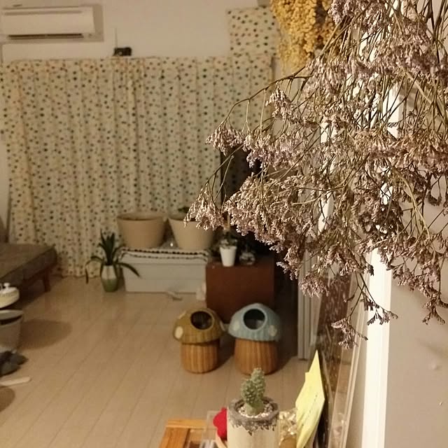 m-kinocoさんの実例写真