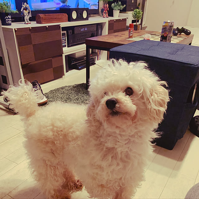 tucky0910さんの実例写真