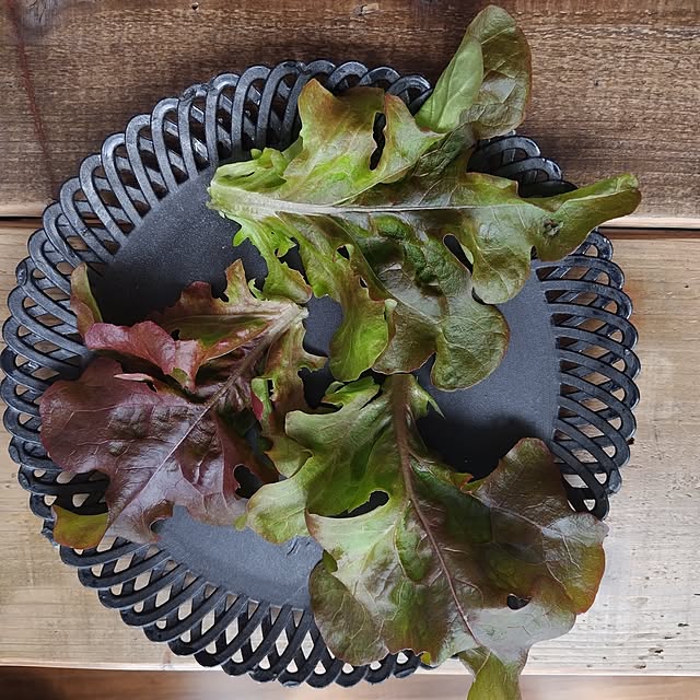 yuuu7712さんの部屋