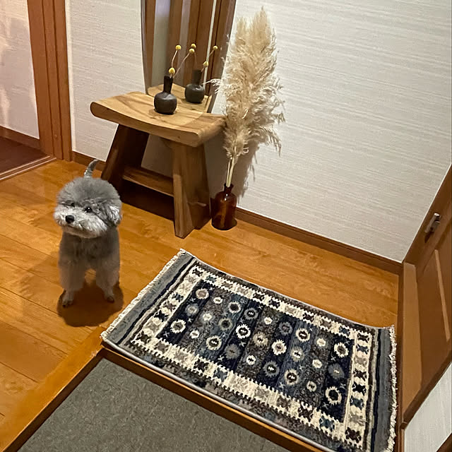 meguko.ryanさんの実例写真
