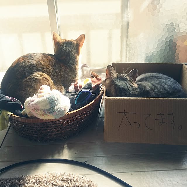 annさんの実例写真