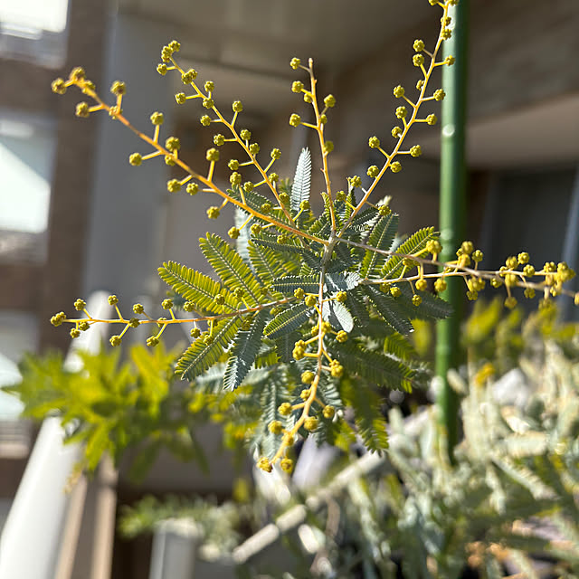 wwwさんの実例写真