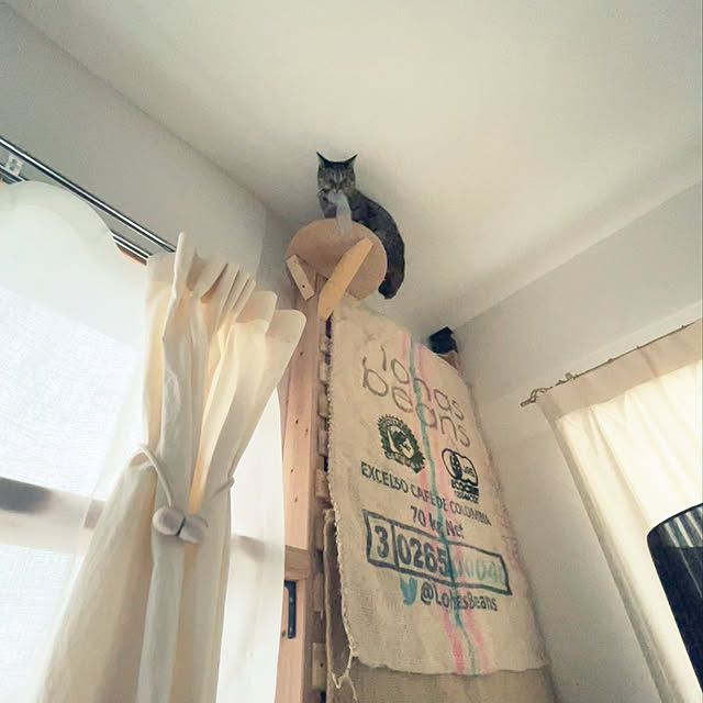 Mさんの実例写真