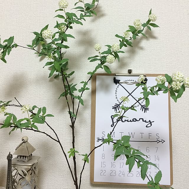 Aiiiさんの実例写真