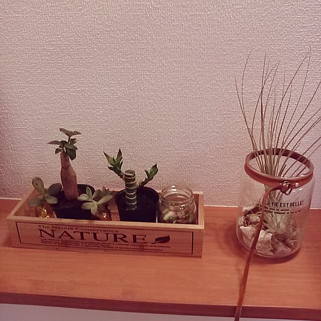junaさんの実例写真