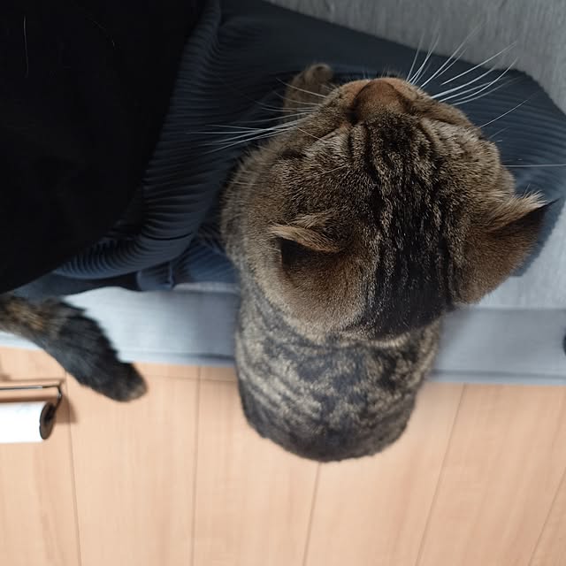 noguriさんの部屋