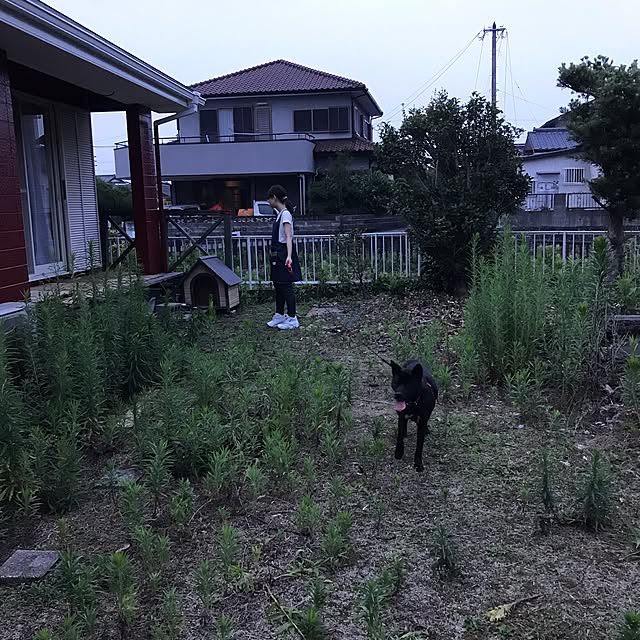 haruさんの実例写真