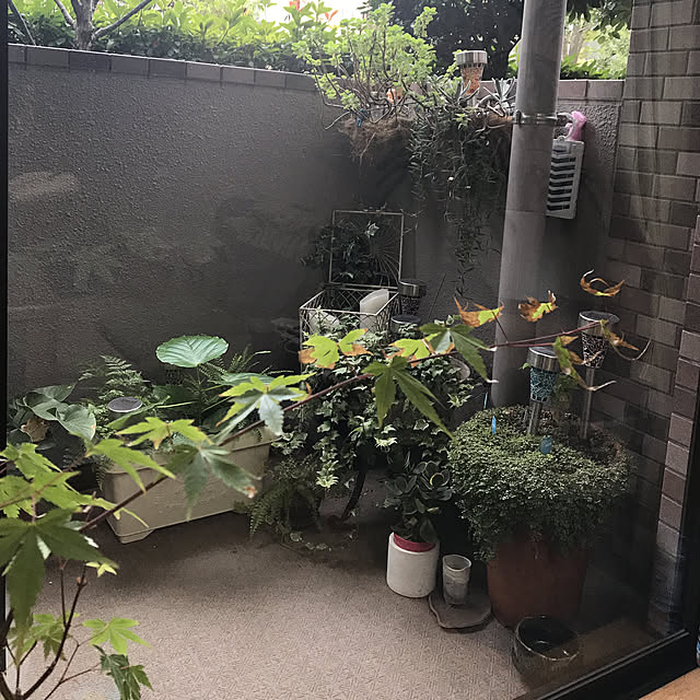 実例写真