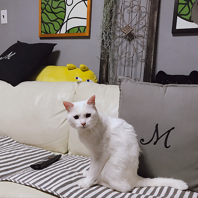 nyanko-beamさんの実例写真