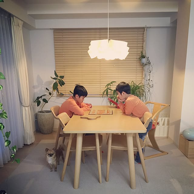 haruhinaさんの実例写真