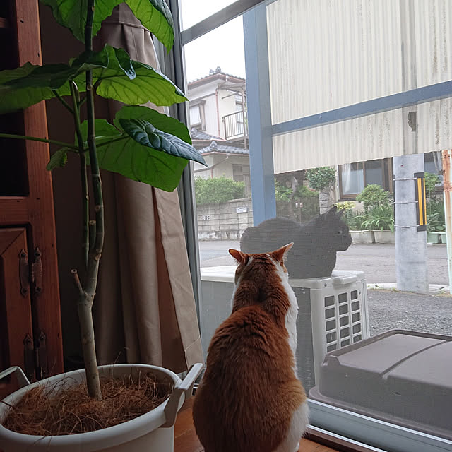 mugi77327732さんの実例写真