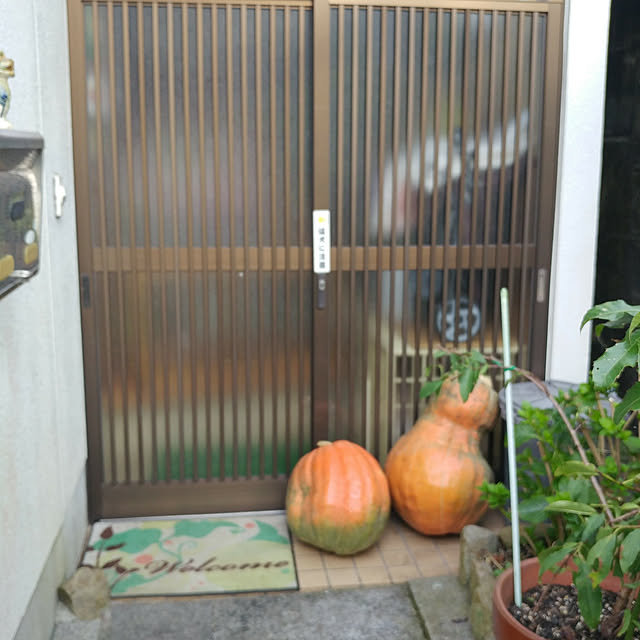 nontenrunさんの実例写真