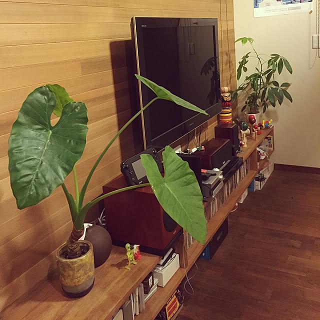 Sanaheさんの実例写真