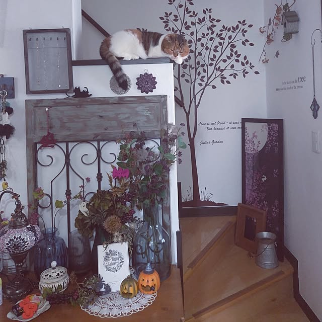 hiro3さんの部屋