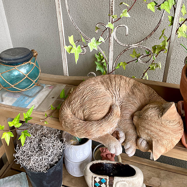 Lucyさんの実例写真