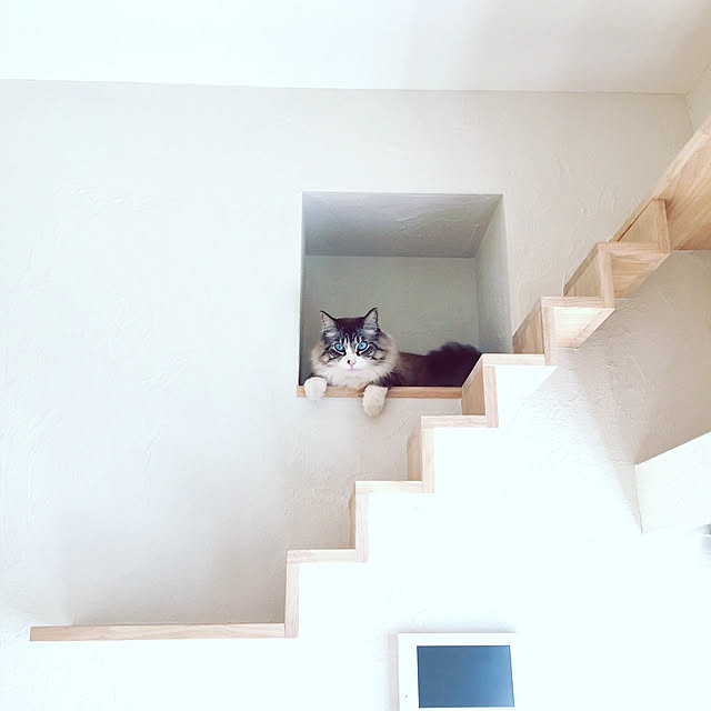 masyacanonさんの実例写真