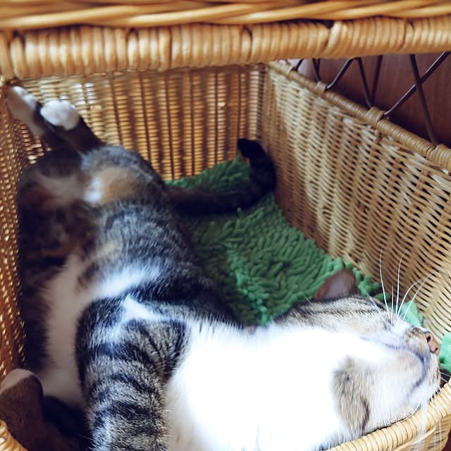 nachiさんの部屋