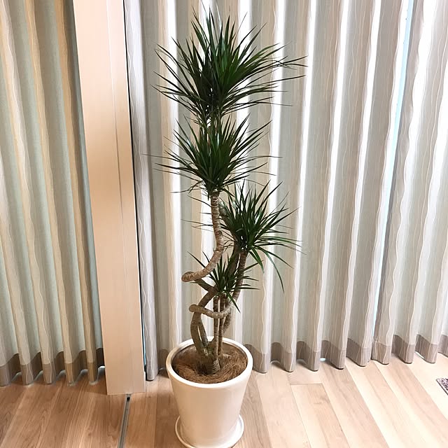 shi_ro_koさんの実例写真