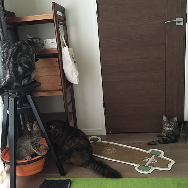 mikomaruさんの実例写真