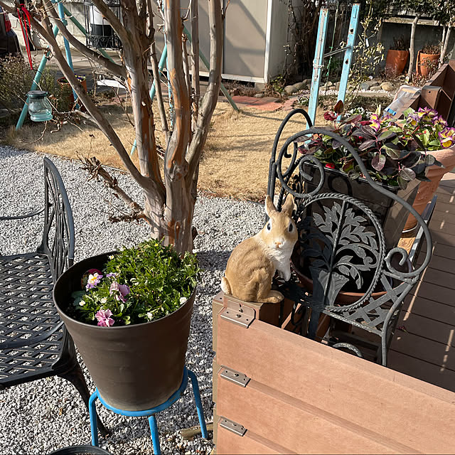 ronronさんの実例写真