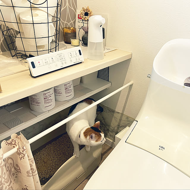 megu.catさんの実例写真