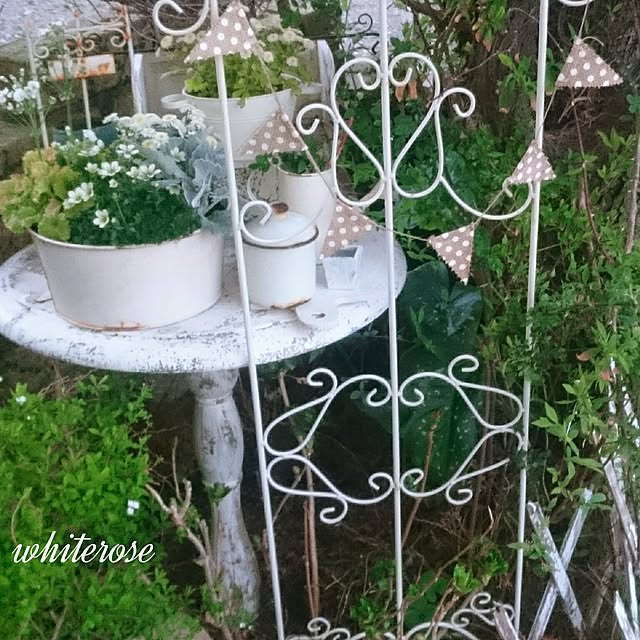 whiteroseさんの実例写真