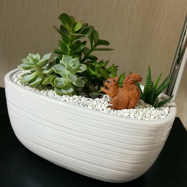 m._.mさんの実例写真